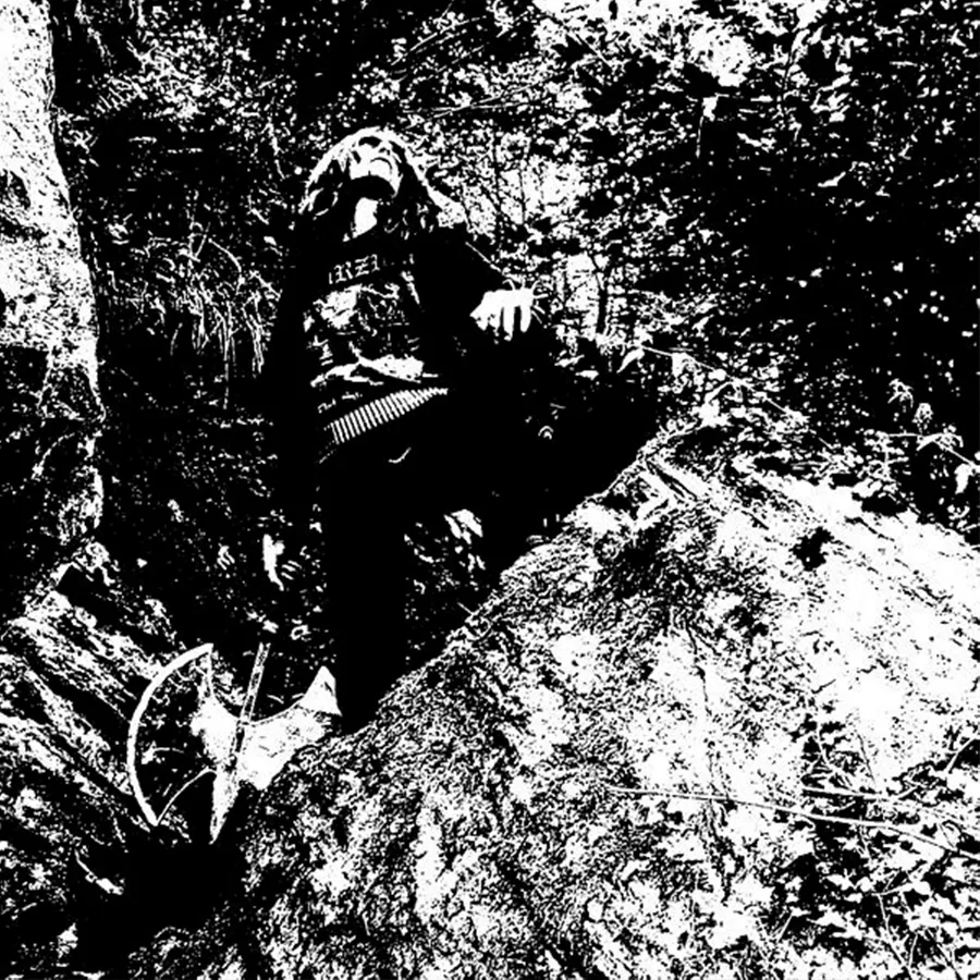A kid and his axe